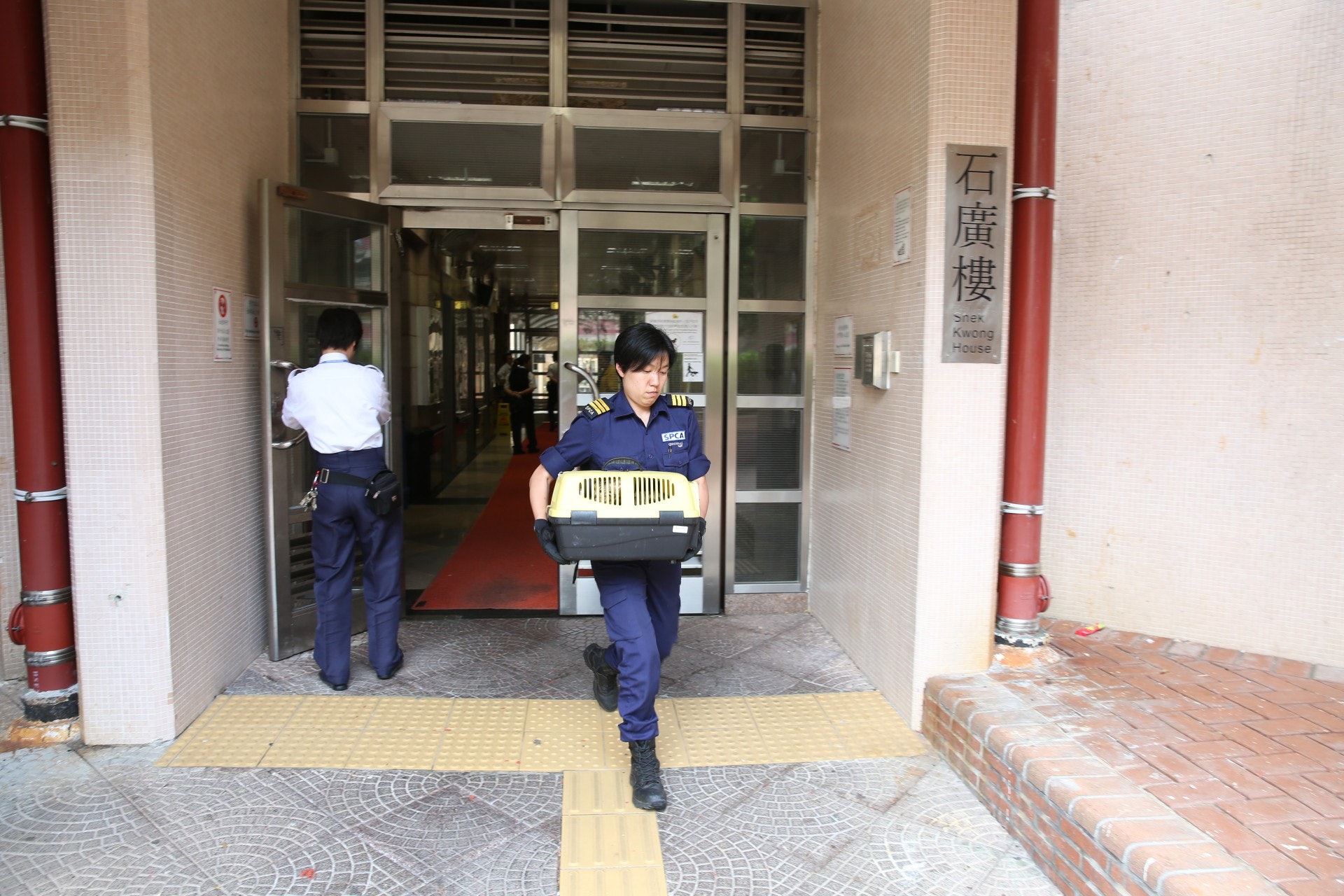 愛協督察到場檢走小貓。(蔡正邦攝)