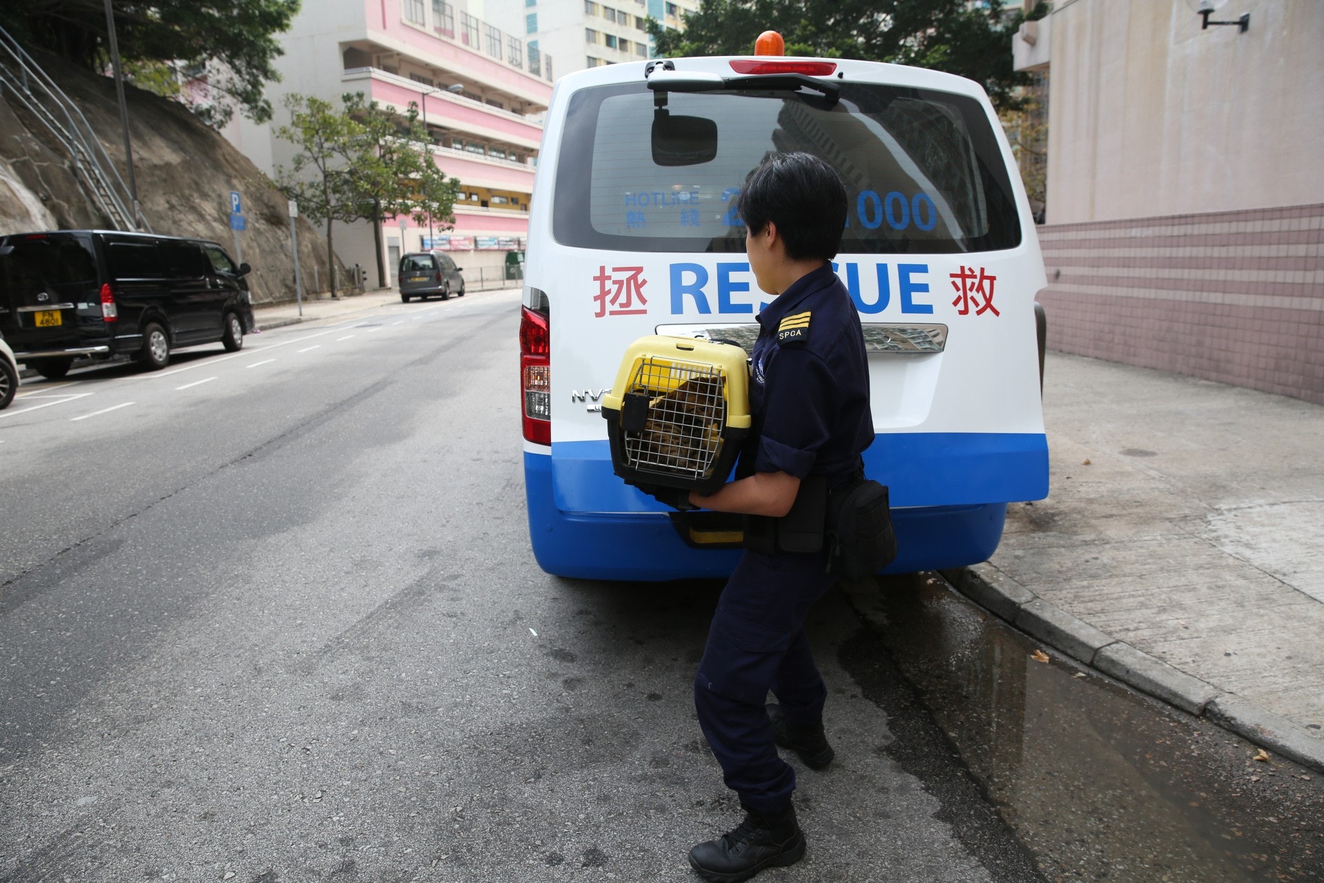 愛協督察到場檢走小貓。(蔡正邦攝)