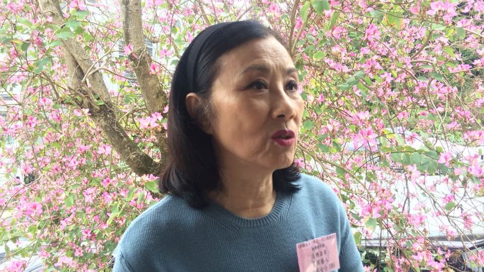 【國歌法】被質疑扼殺二次創作自由 汪明荃:大家守法會較好 【國歌法】被質疑扼殺二次創作自由 汪明荃:大家守法會較好