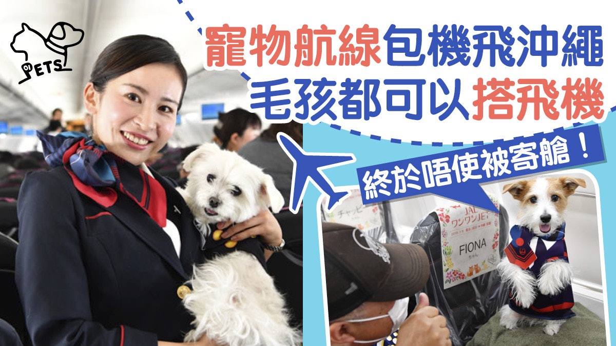 【寵物航線】同狗狗一齊坐飛機 包機4天沖繩之旅夢想成真 【寵物航線】同狗狗一齊坐飛機 包機4天沖繩之旅夢想成真