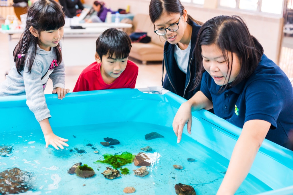 【暑期活動推介】零距離接觸海洋生物　入海洋科學營學習海洋保育