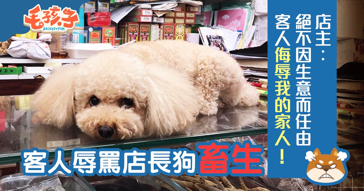 青衣藥房店長狗被街坊指罵畜生　主人︰請尊重我們的家人