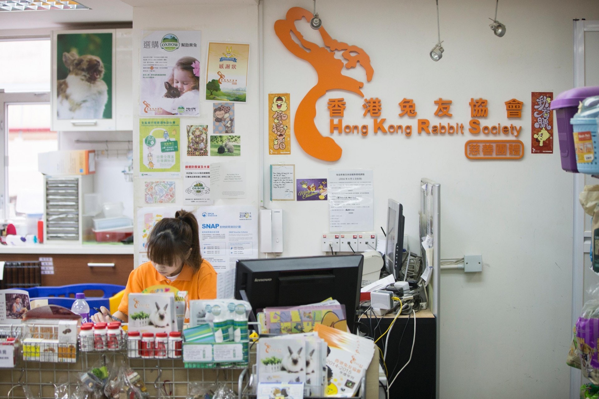 Shirley道：「兔協多年來也不改其嚴謹的領養要求，因為這是兔子的唯一保障。」(資料圖片)