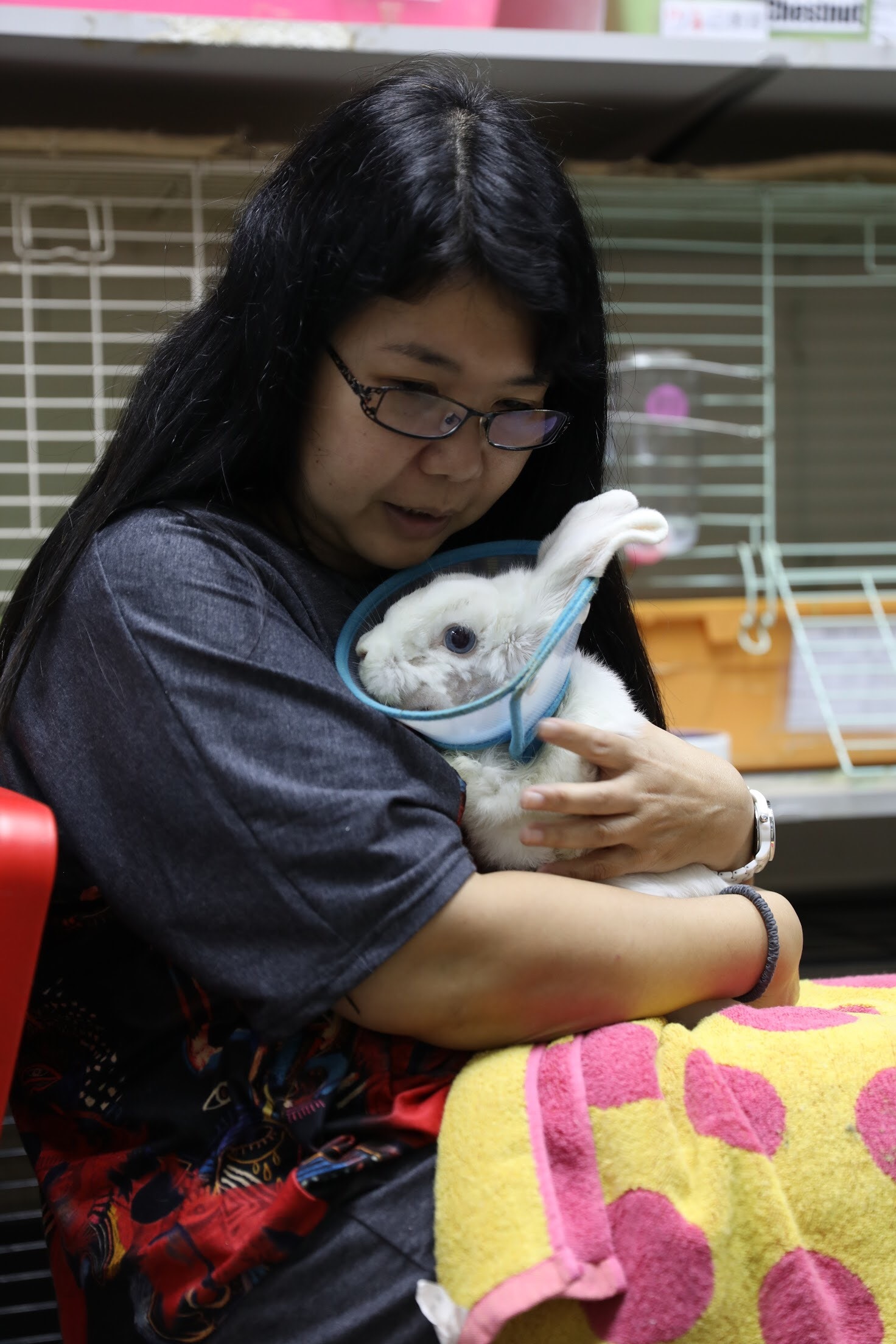 Shirley認為主人很多時養兔也未有深思熟慮，遇上小麻煩便十分輕易棄養。(鄧凱愉攝)