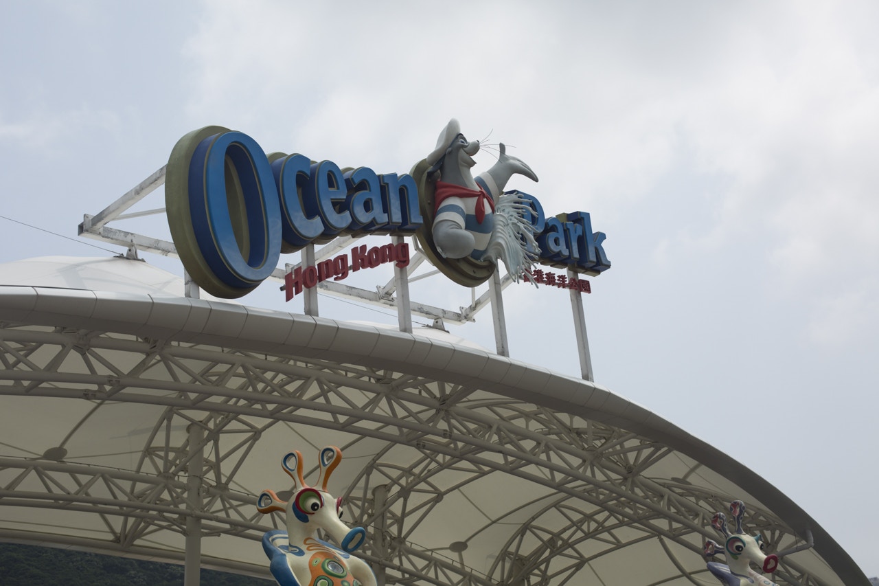 海洋公園初生海豚B夭折　僅活了數分鐘