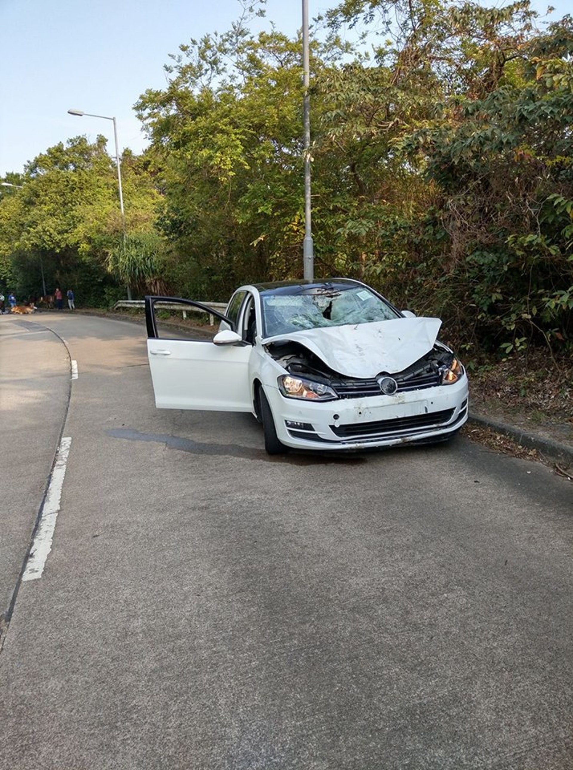 私家車車頭嚴重損毀。(大澳社區牛隻關注組圖片)