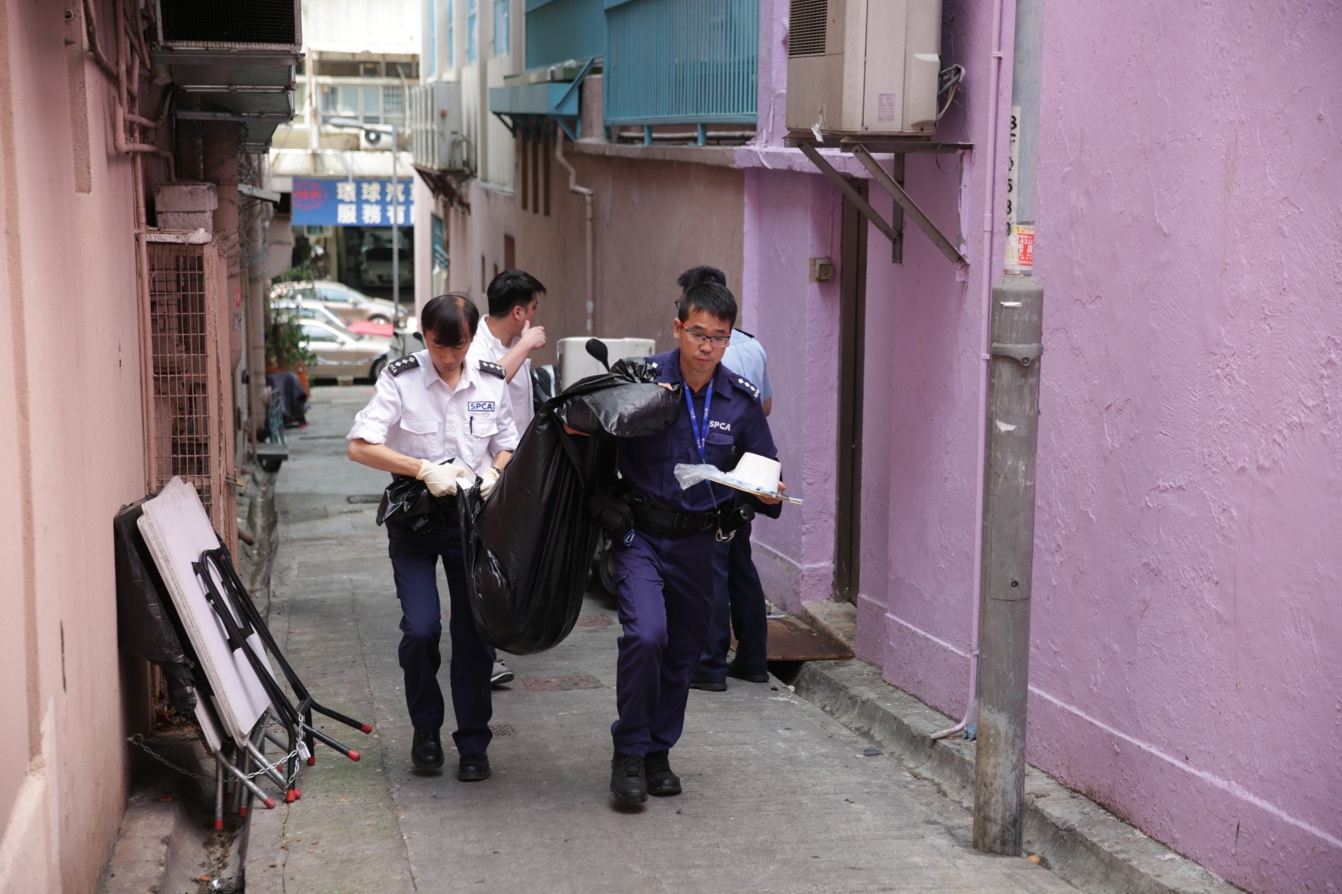 狗屍由愛協人員帶走,將會解剖進一步確認死因。(黃偉民攝)