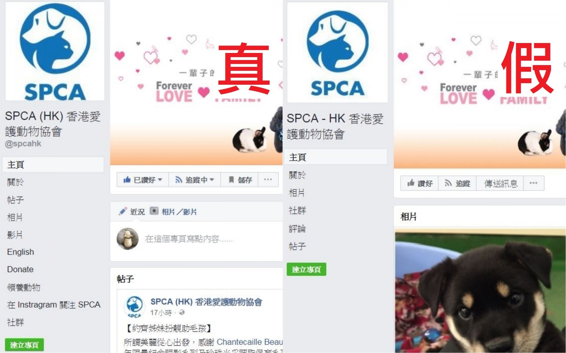 假愛協與真愛協專頁的相似度極高,市民容易混淆。(網上截圖)