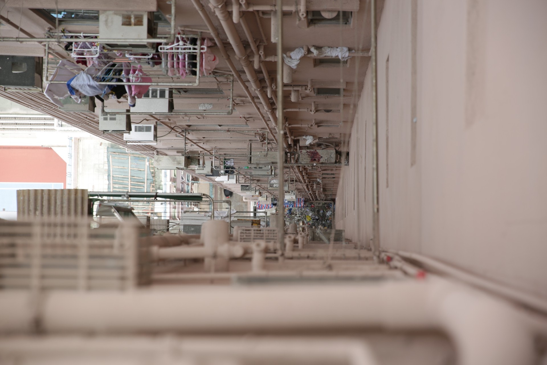 「小白」倒臥平台,該處滿佈垃圾及雜物。(黃偉民攝)