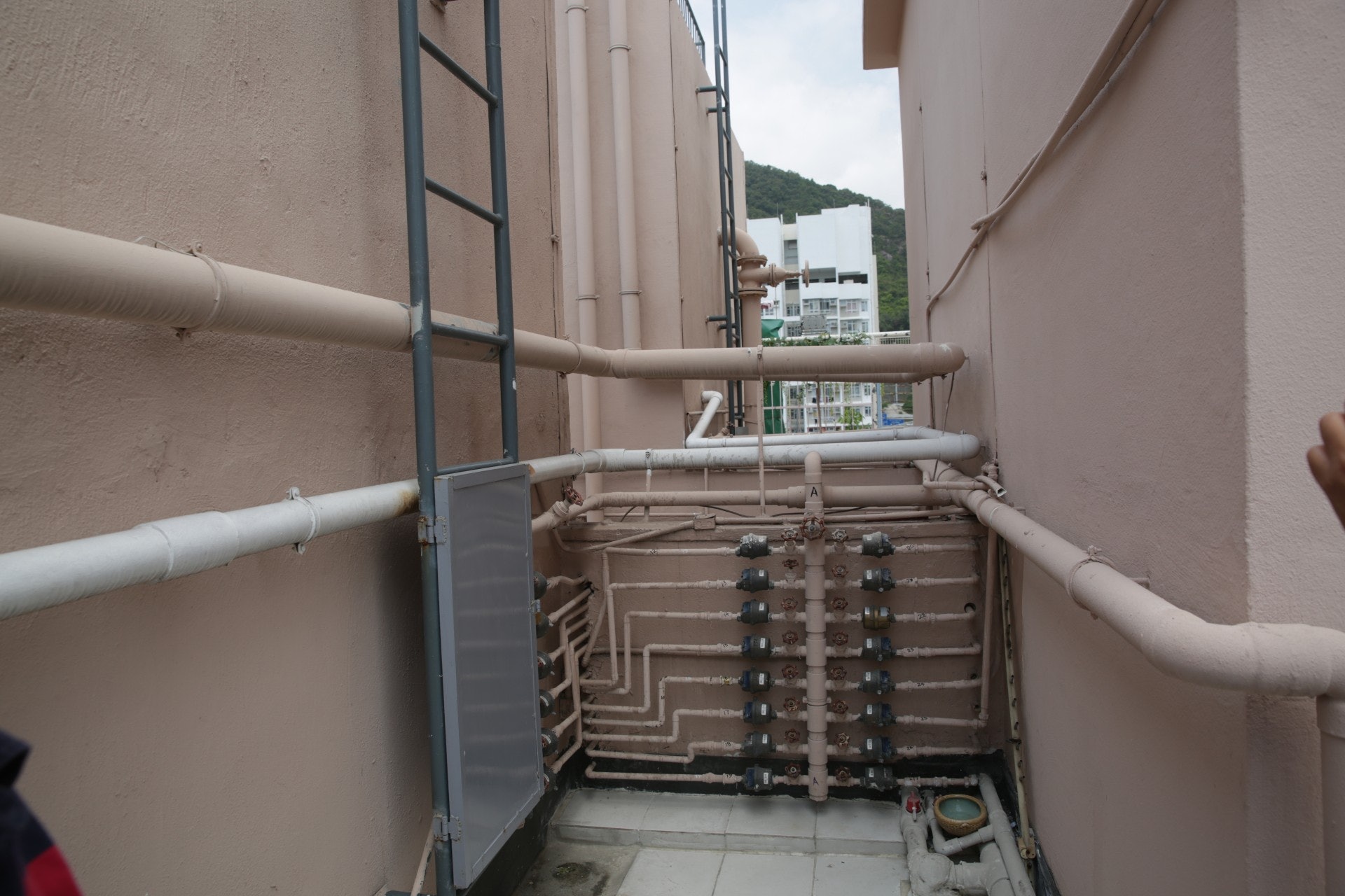 一頭成年白色銀狐犬「小白」被23歲姓何男主人,帶到天台掟落街,當場分屍斃命。(黃偉民攝)