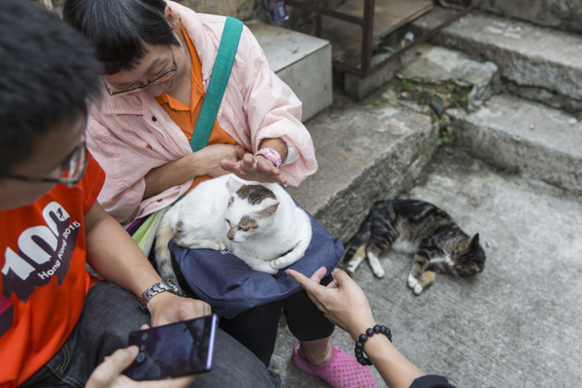 香港最常聽見的《防止殘酷對待動物條例》可用來懲處虐待、虐殺動物的兇徒,最高罰判監3年,罰款20萬元,條例的阻嚇性一直備受質疑。
