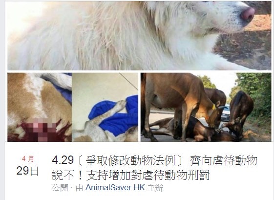 動物組織AnimalSaver HK在網上呼籲4月29日集會。