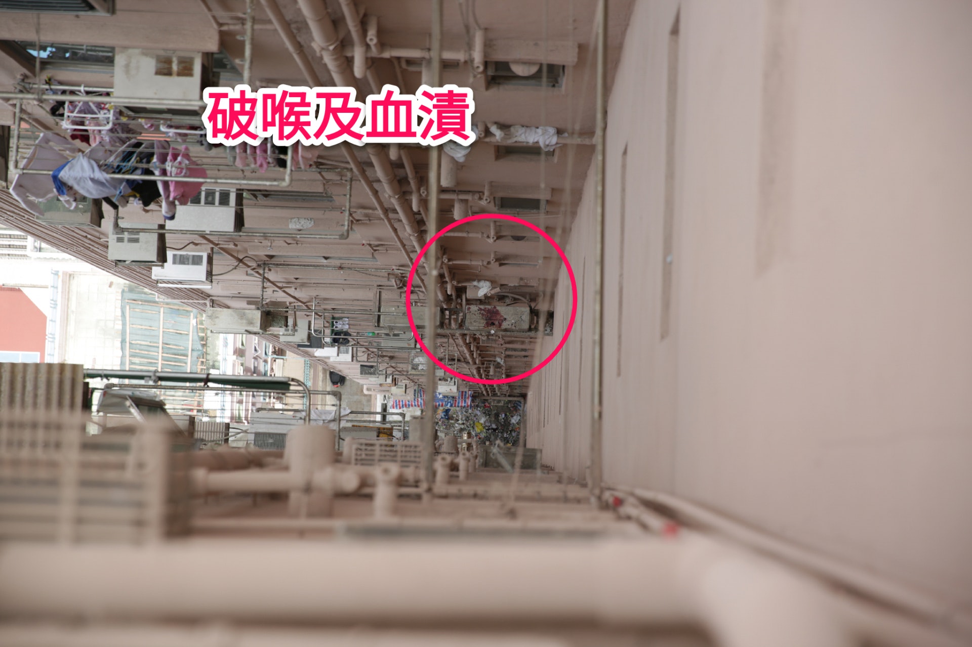 (資料圖片/黃偉民攝)