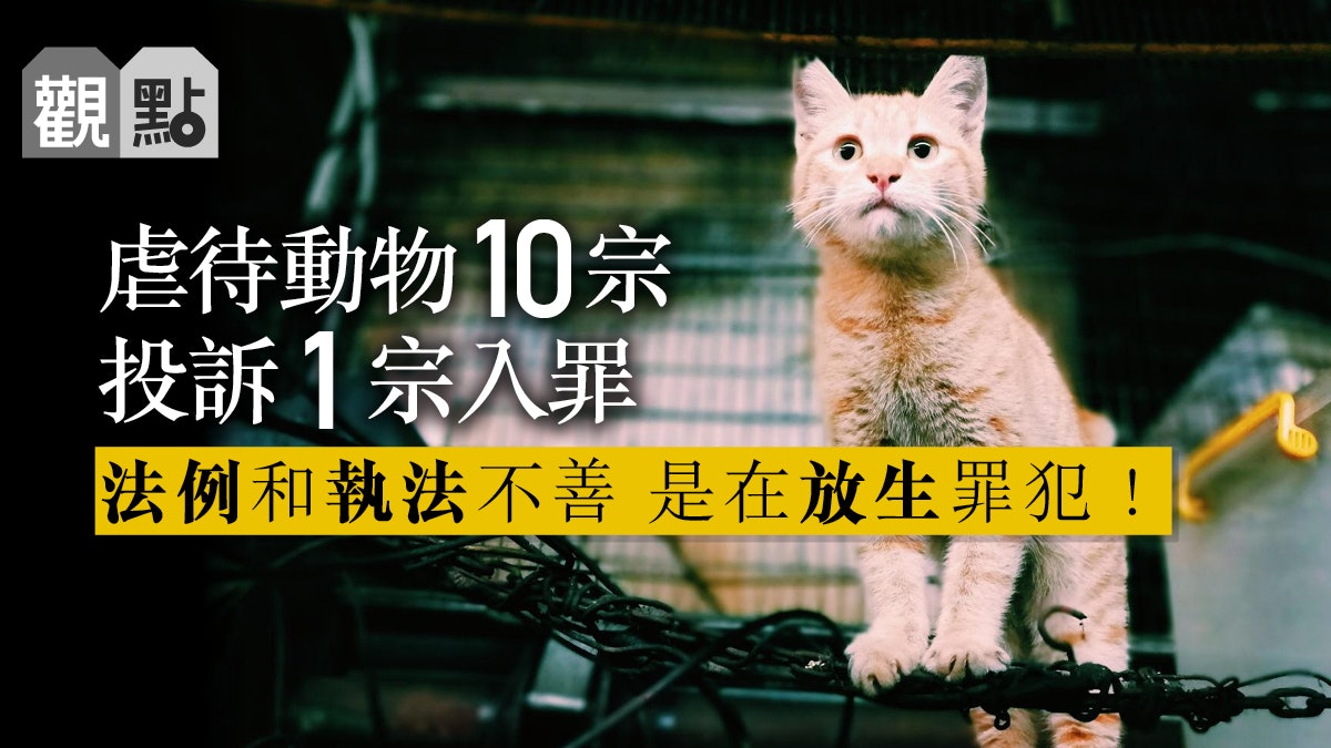 虐待動物 觀點 倡 動物保護 立法增設動物警察 香港01 01觀點