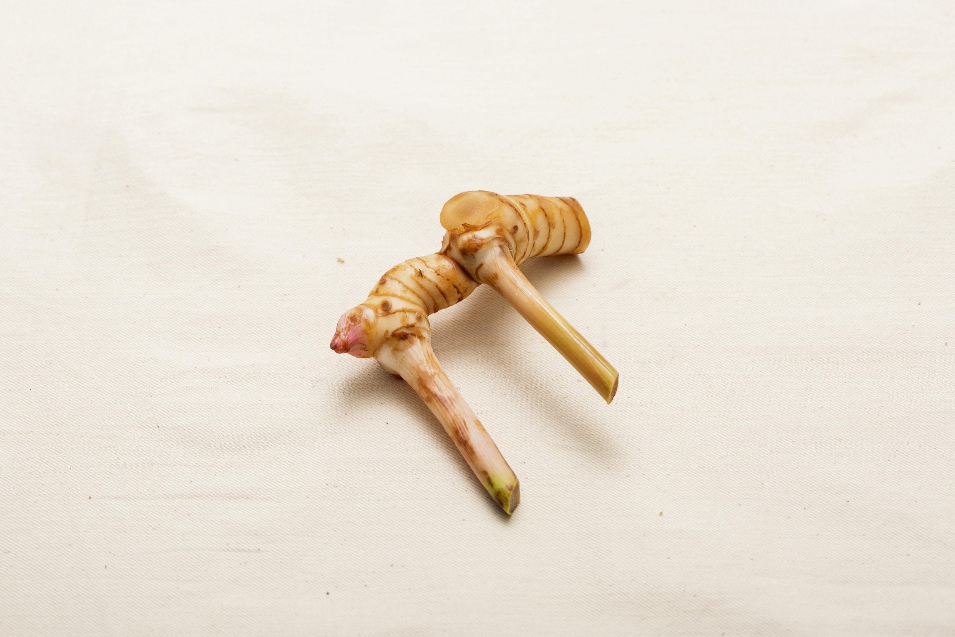 南薑又稱高良薑。(資料圖片) 南薑又稱高良薑。(資料圖片)