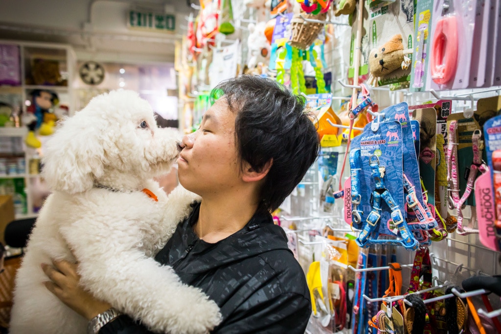 是犬隻訓練員的細寶閱狗無數,但她說PatPat永遠是No.1。