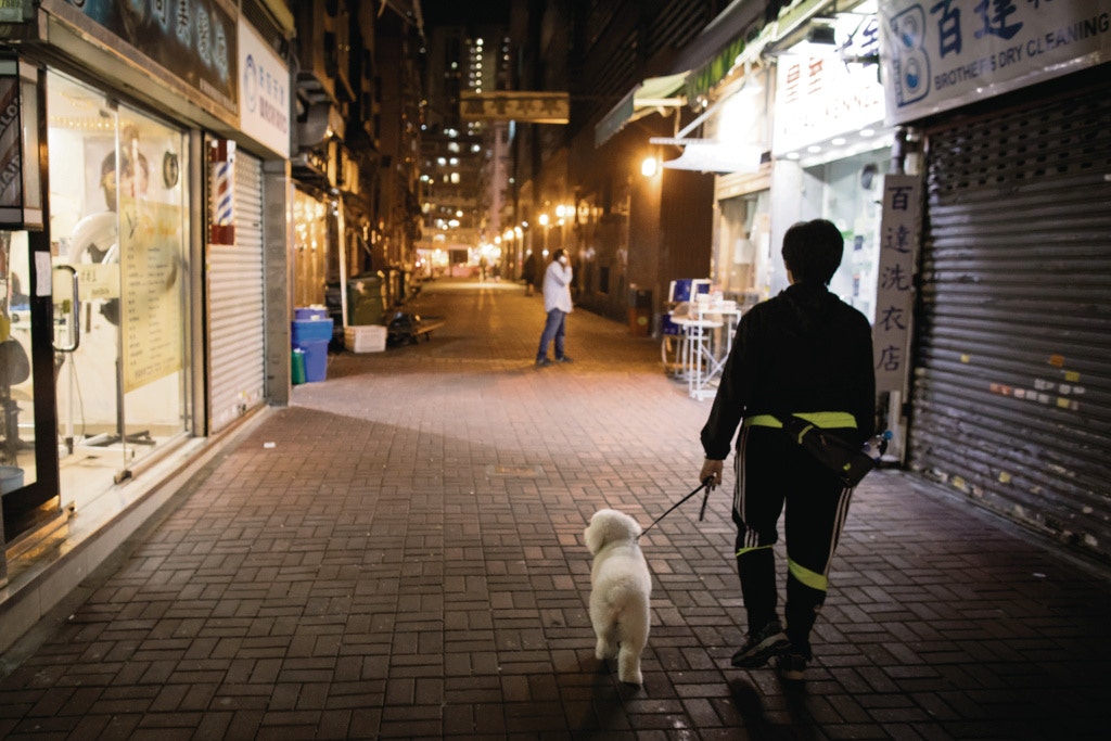 「香港只有兩種人可以養狗—有錢人和乞兒,我們這些唯有希望中六合彩。」
