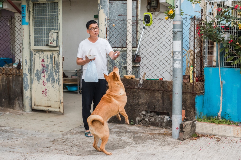 「收地就是剛剛收到梁福元(十八鄉鄉事委員會主席)屋企個墳,我問可唔可以過了這個花園才收,政府說不可以。」