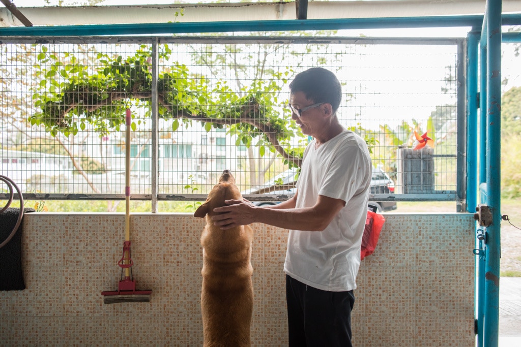 記者問:「如果去到拆村一刻,阿寶……」陳先生不讓我問下去,「唔諗,唔好問落去,我當什麼事都沒有發生」,然後着阿寶外出散步去;三月的花園春暖花開。