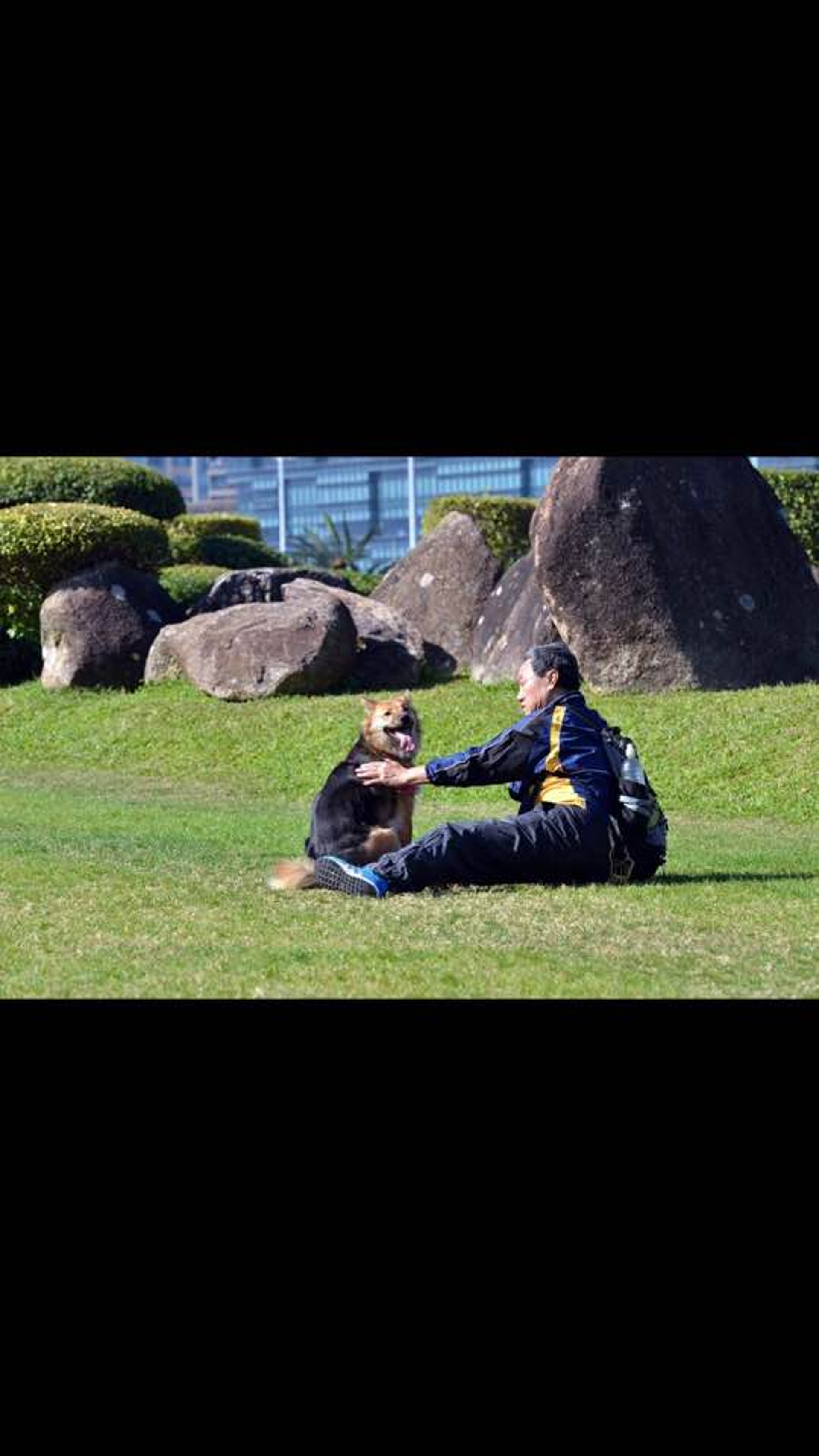 DoDo平日活潑可愛。(狗主提供)