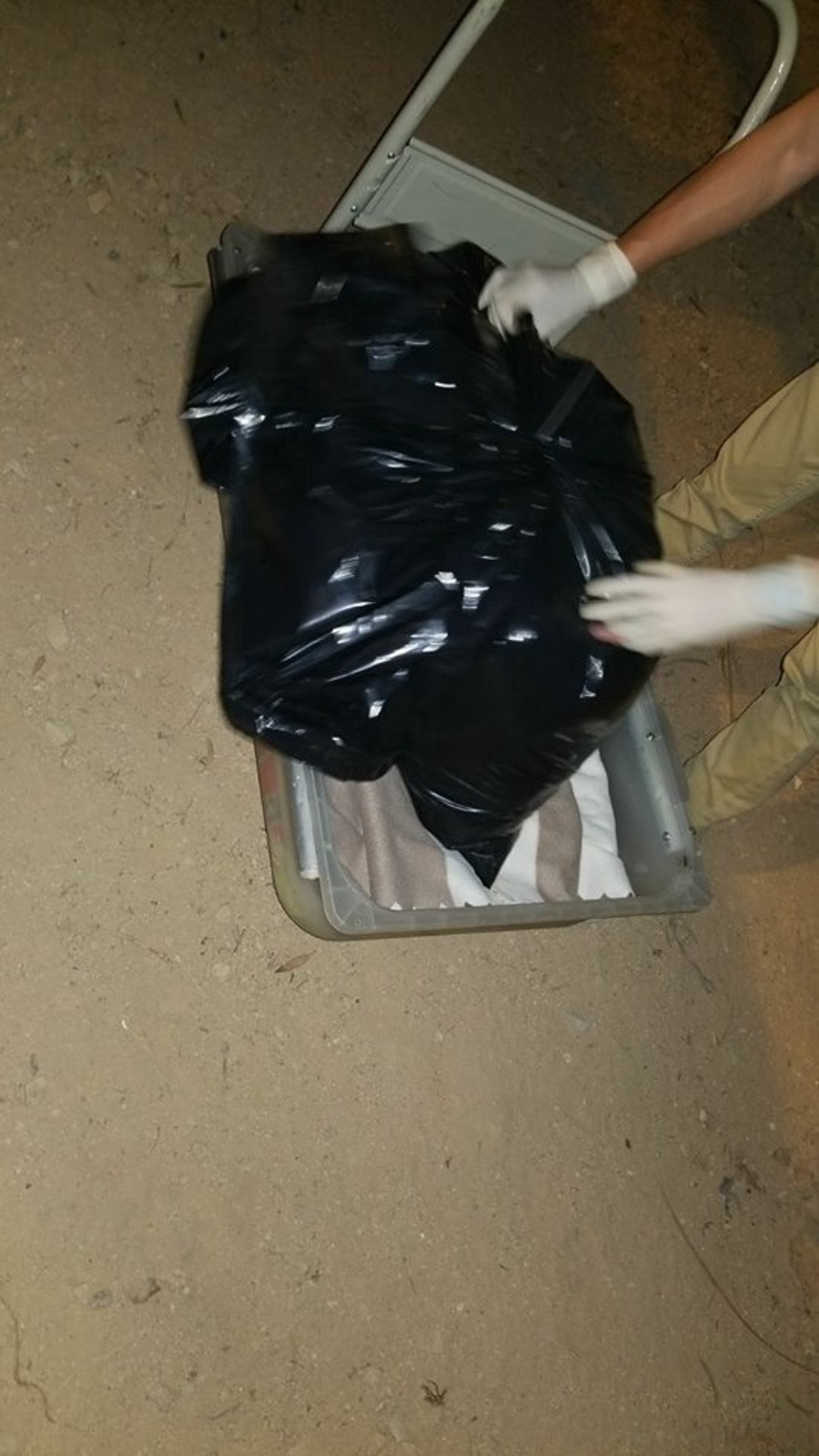 寵物善終公司帶走狗狗遺體。(黃小姐提供圖片)