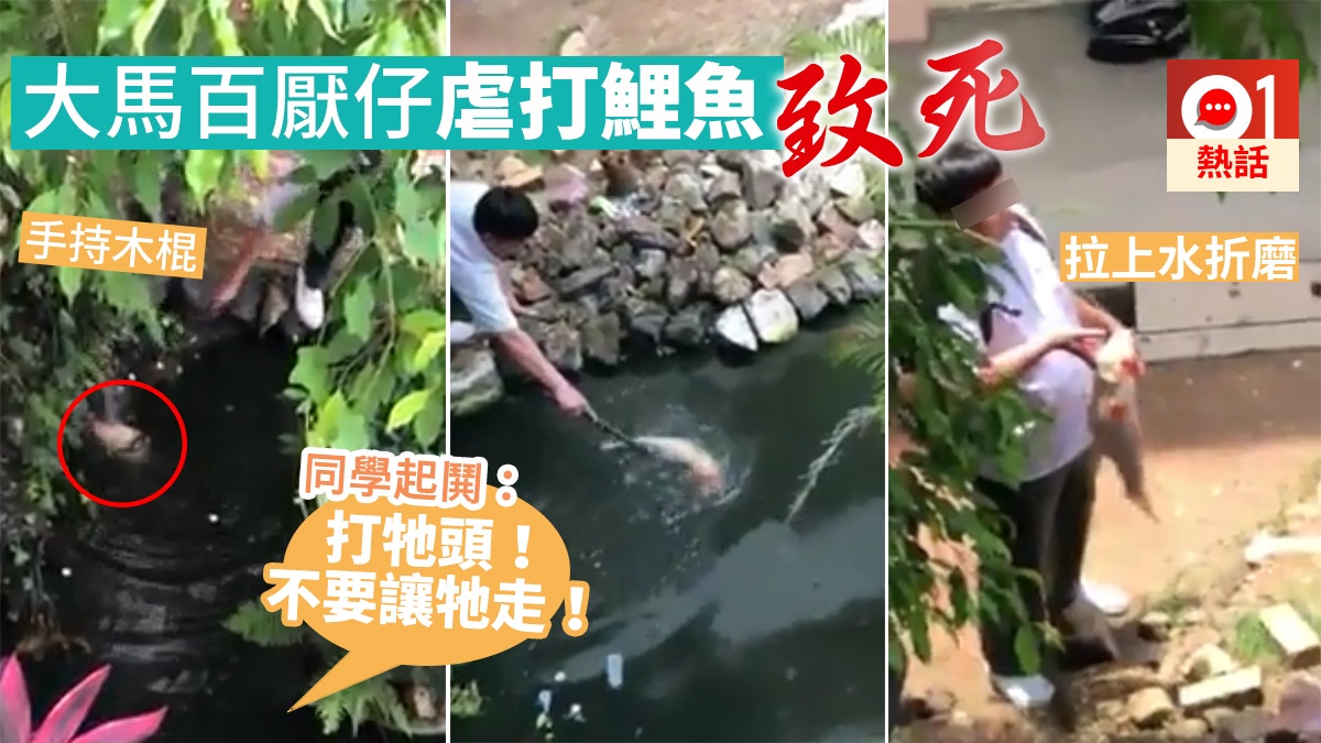 馬來西亞學生木棍狠扑鯉魚頭拉上水折磨致死同學起鬨：打牠頭｜香港01｜熱爆話題