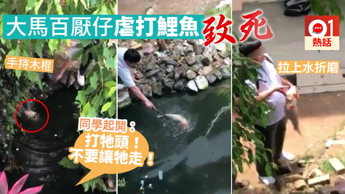 馬來西亞學生木棍狠扑鯉魚頭拉上水折磨致死同學起鬨:打牠頭|香港01|熱爆話題