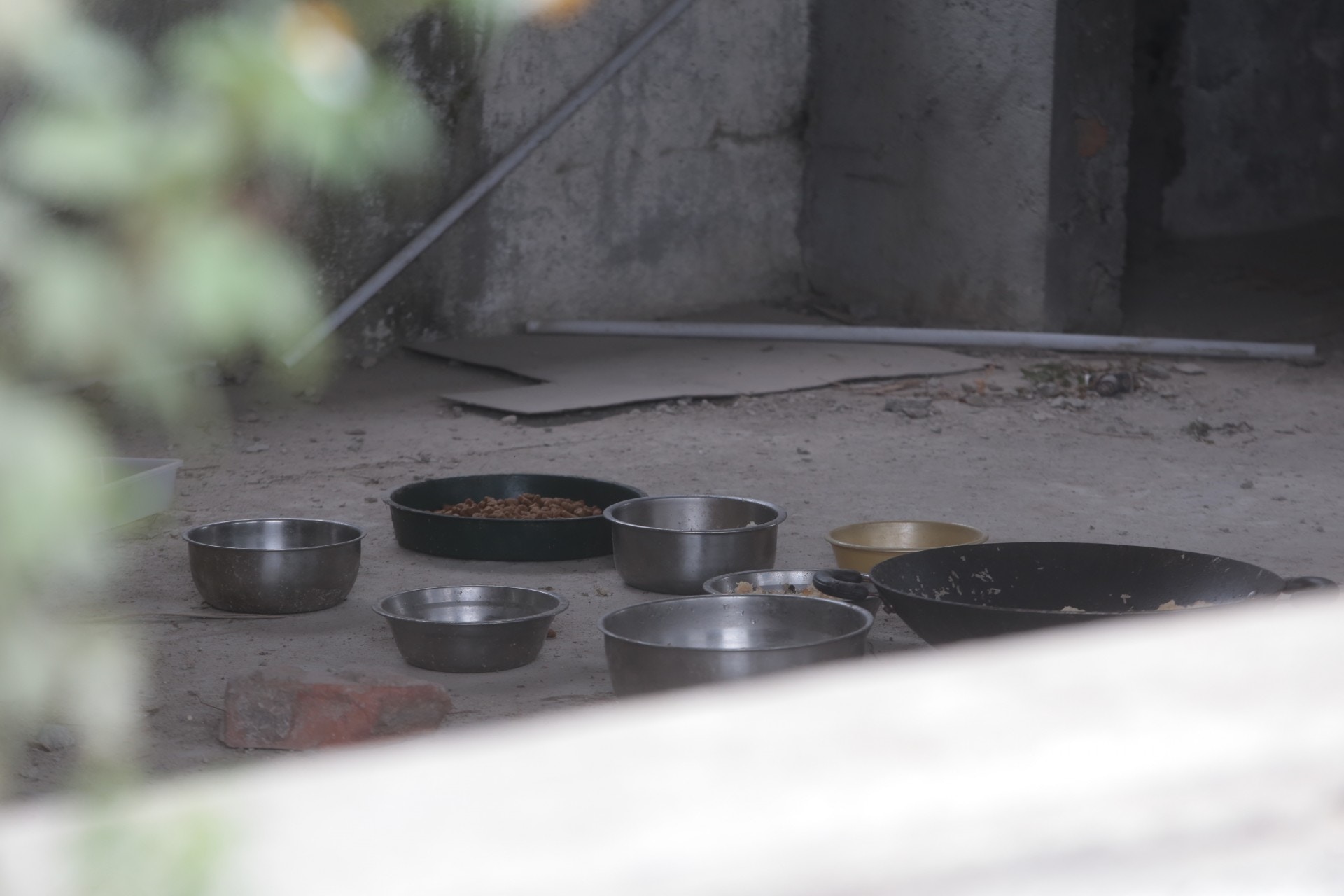 涉事石屋內有食物。(梁銘康攝)