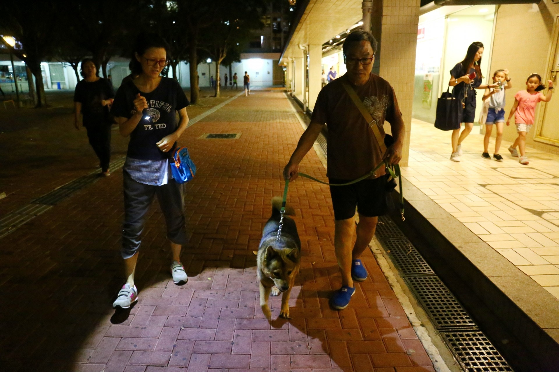 三爸及三媽帶唐狗「初三」散步。(魯嘉裕攝)