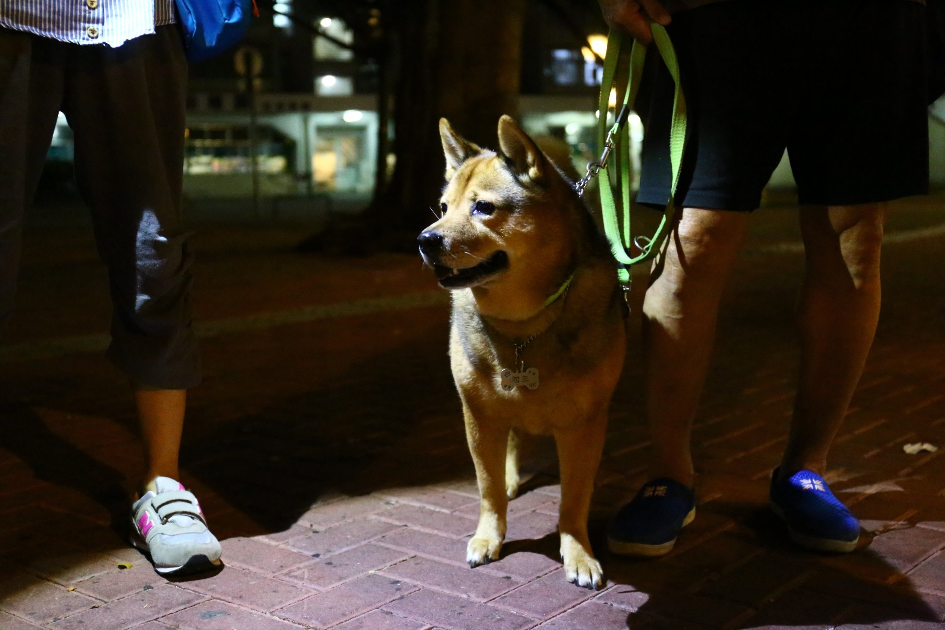 事件發生後,三爸帶初三外出散步時,均要份外小心。(魯嘉裕攝)