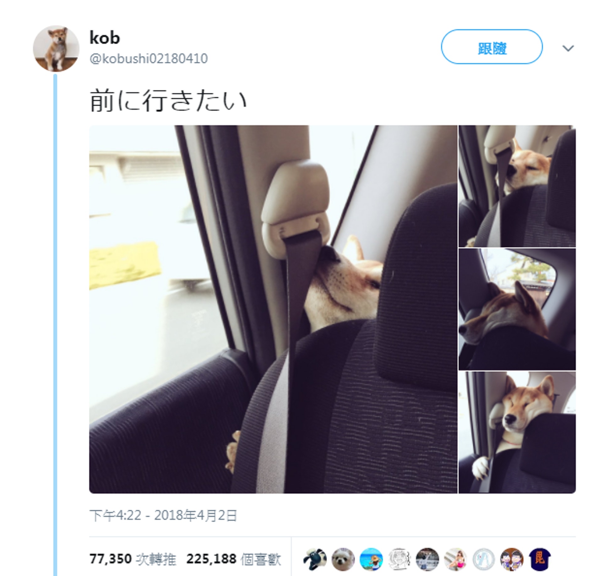 æ¥æ¬æ¥åæç¶²åå享éè»æï¼æ´ç¬å¨å¾åææªçæè¶£ç
§çã(Twitterãkobushi02180410ãæªå)