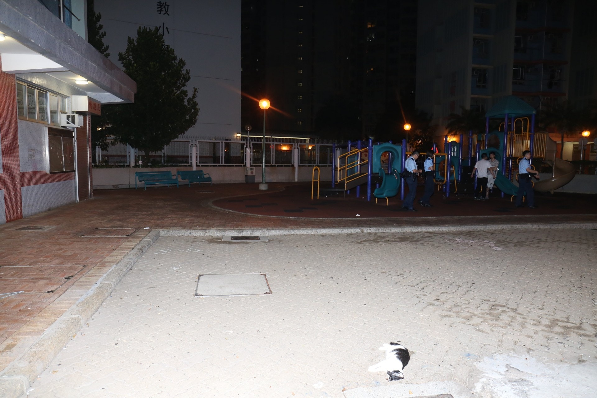 墮樓貓隻伏屍於公園對出空地。(賴南秋攝)