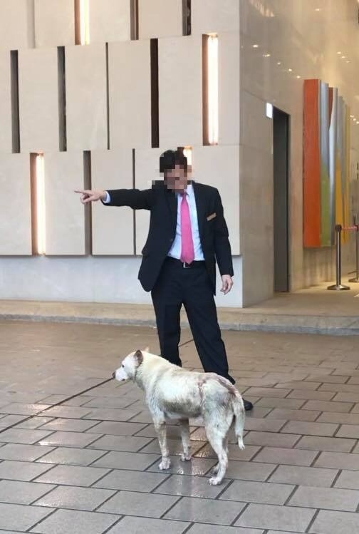 保安看到狗狗後,馬上驅趕。(影片截圖)