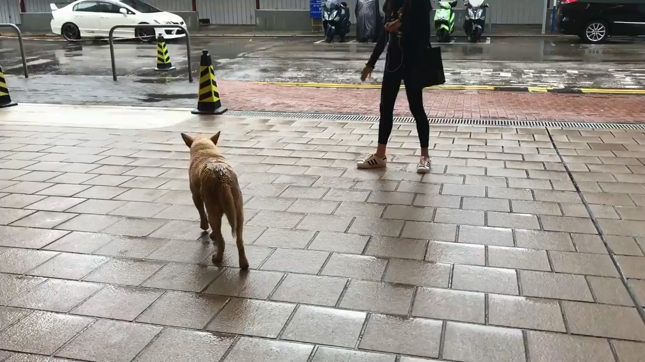 (黃天佑Facebook片段截圖)