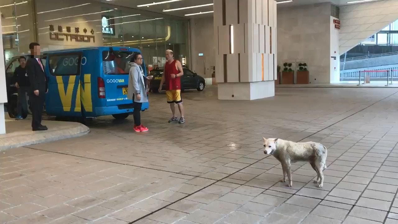 一隻唐狗走進荃灣商廈地下有蓋迴旋處及停車場出口附近避雨,隨後遭管理員驅趕。(黃天佑Facebook片段截圖)