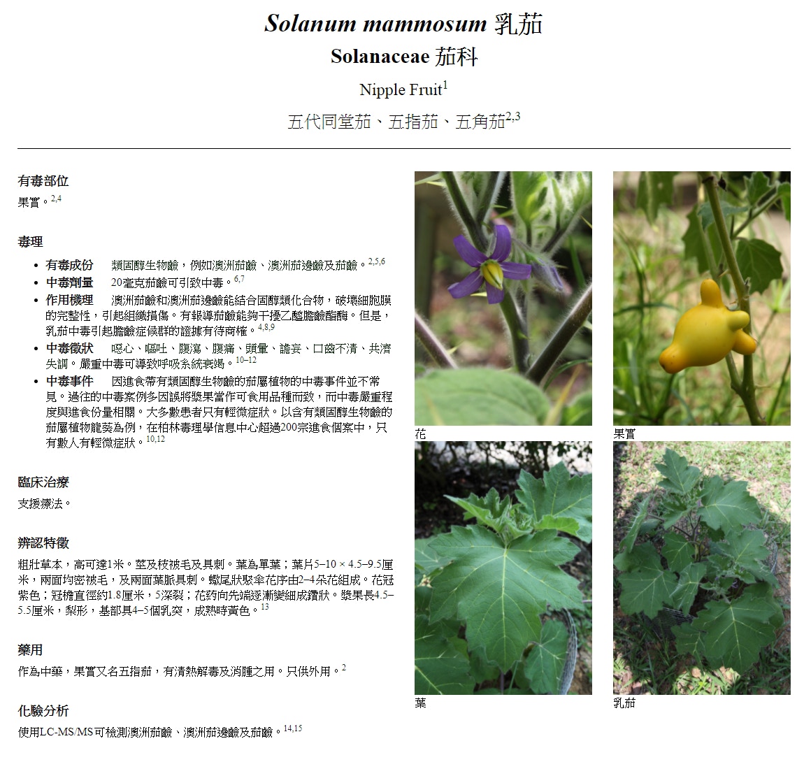 路邊毒草不要採 醫管局錄62宗植物中毒常見斷腸草 海芋 杜鵑 路邊毒草不要採 醫管局錄62宗植物中毒常見斷腸草 海芋 杜鵑