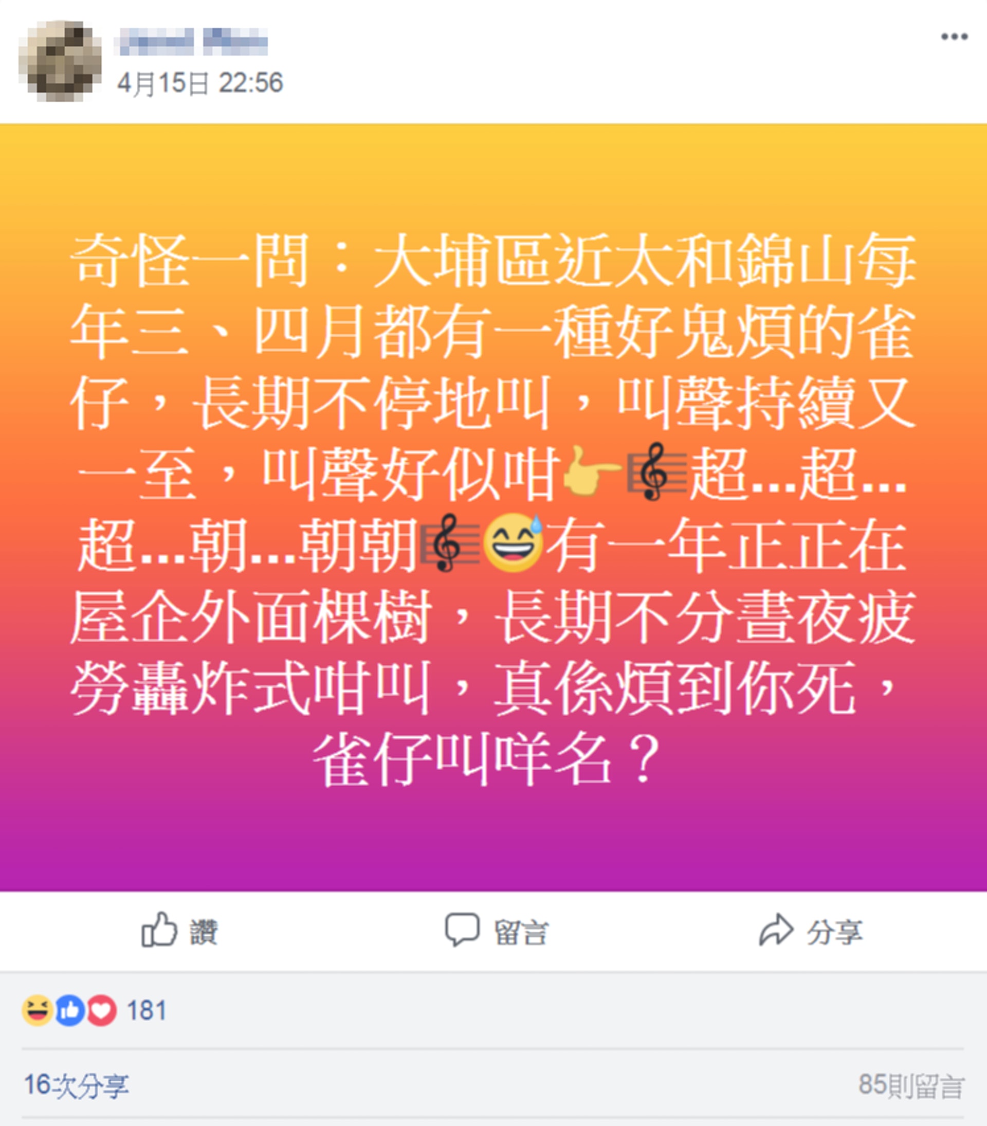 有網民在大埔群組發文,用文字描述一種雀鳥的叫聲,問有沒有人知道該鳥的名字。(facebook群組「Tai Po 大埔」截圖)