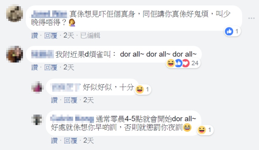 有網民在大埔群組發文,用文字描述一種雀鳥的叫聲,問有沒有人知道該鳥的名字,得得到不少回應。(facebook群組「Tai Po 大埔」截圖)