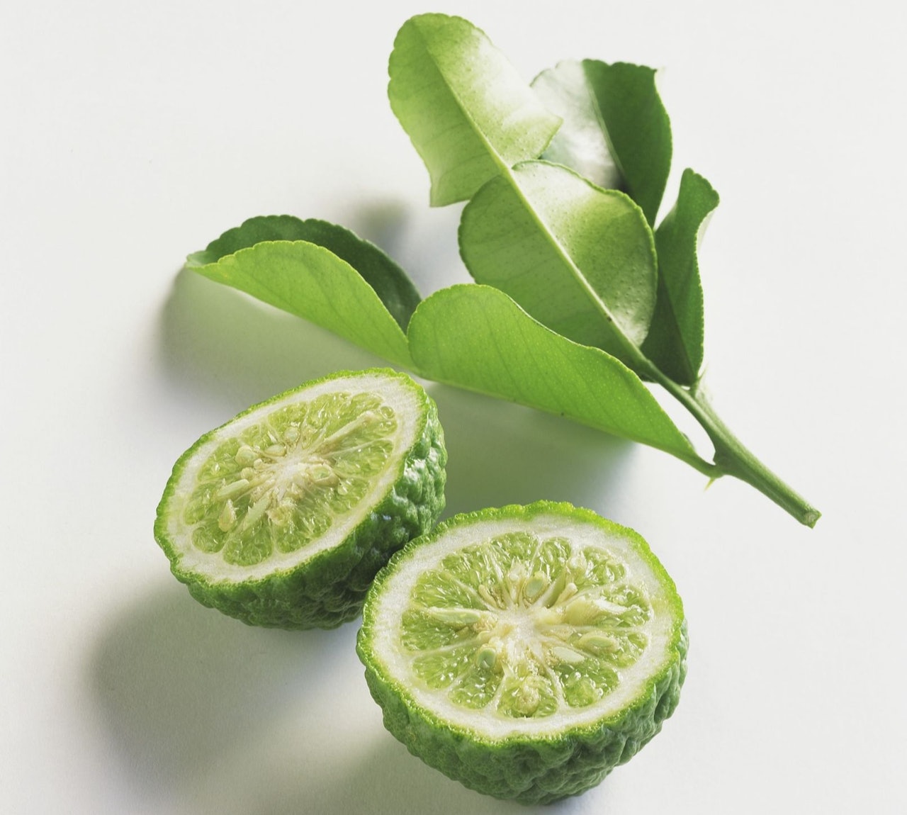 泰國青檸(Kaffir Lime)呈梨子形,外皮皺巴巴,果肉十分苦澀,甚少入饌。(VCG) 泰國青檸(Kaffir Lime)呈梨子形,外皮皺巴巴,果肉十分苦澀,甚少入饌。(VCG)