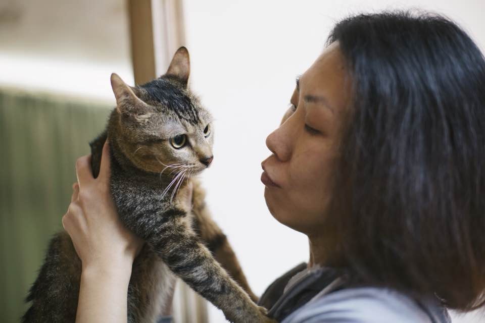 因為斷舌的關係,小冰無法自行進食,也無法理毛,時常因而發脾氣。(沈敏怡攝)