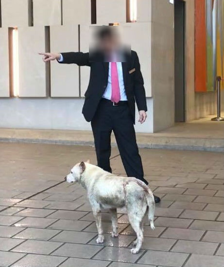 4月15日,香港有幾陣狂風雷暴,有網民將保安員不讓流浪犬逗留在甲級商廈的候車範圍避雨,引來網民廣傳。(網上圖片來自網民CammanWong)