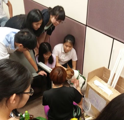 帶治療犬去不同地方皆大受歡迎。(受訪者提供)