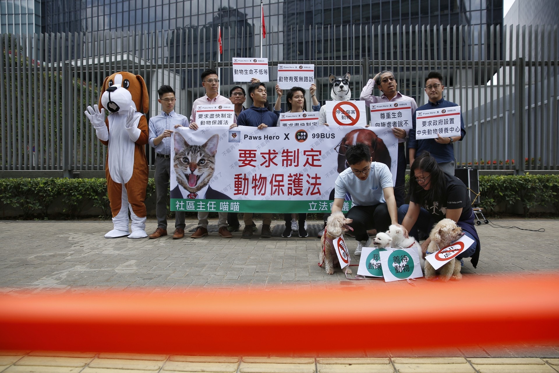 關注動物權益的組織到金鐘政府總部門外請願,要求政府制定全面的動物保護法。(張浩維攝)