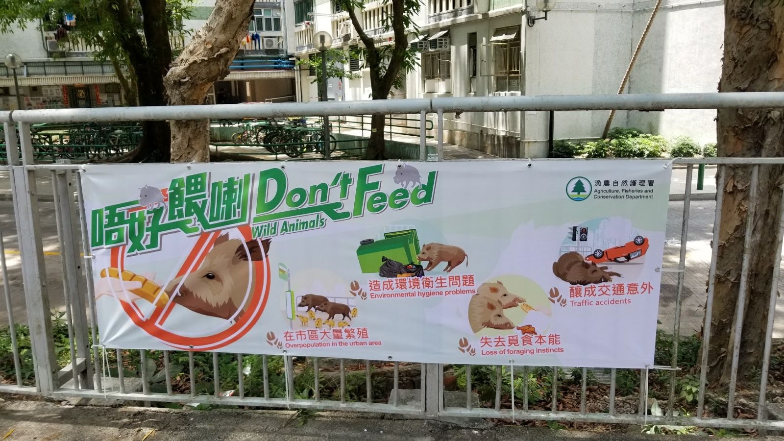 有市民在大圍看見漁護署張掛切勿餵飼野豬的告示,當中內容惹爭議。(受訪者提供)