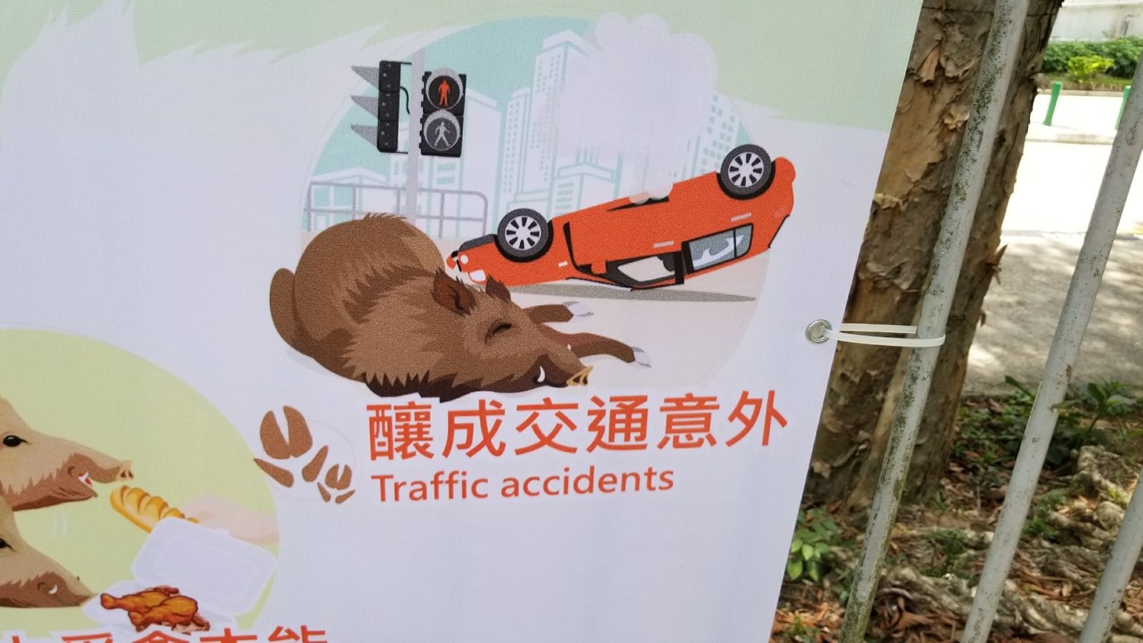 另一圖示指野豬釀成交通意外,團體質疑說法推卸責任。(受訪者提供)