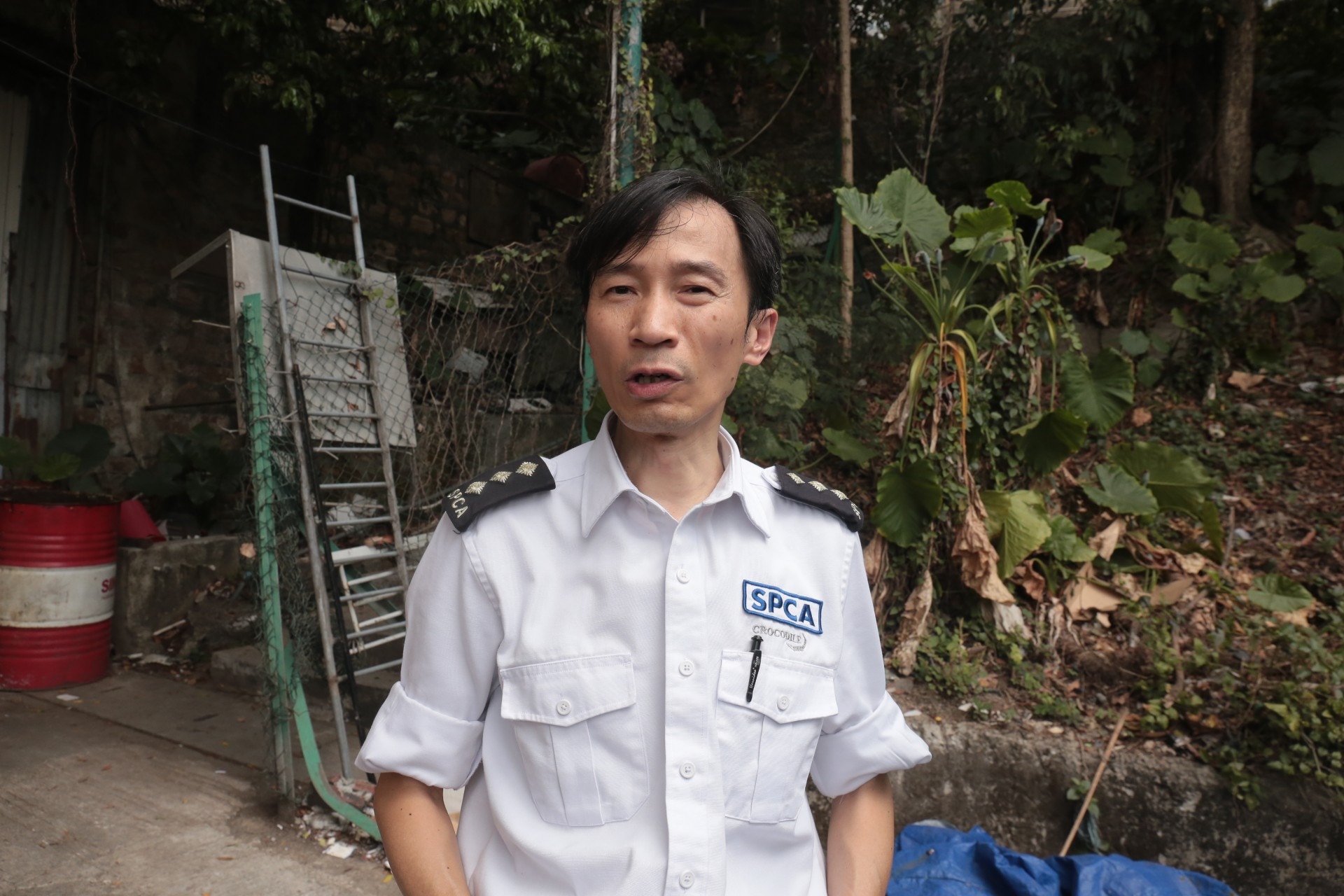 愛協督察吳縣勳指,3頭遇害狗隻均為流浪唐狗。