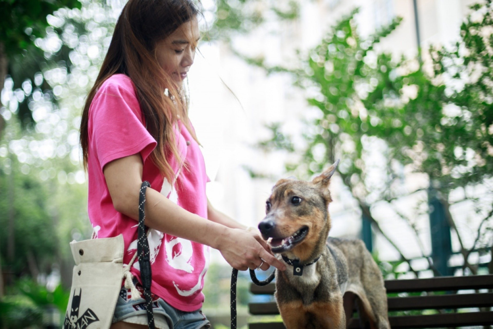 原在山上流浪的咖啡妹於上年6月被領養,當時2個月大,體重15.4kg,實屬正常唐狗身形。(資料圖片)