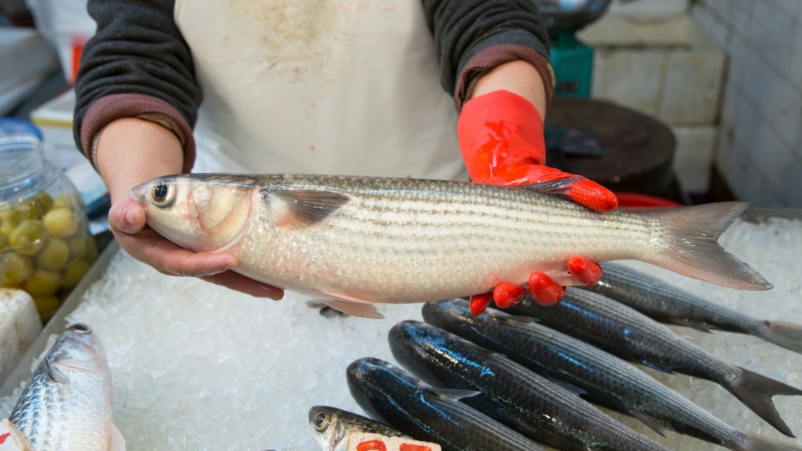 烏頭魚腸現膠粒佐酒美食 烏頭扣 仍合適進食 烏頭魚腸現膠粒佐酒美食 烏頭扣 仍合適進食