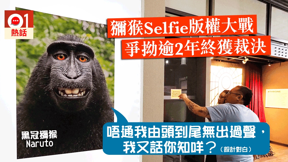 【一笑傾城】獼猴Selfie紅遍全球掀版權大戰 美法院判獼猴無版權 【一笑傾城】獼猴Selfie紅遍全球掀版權大戰 美法院判獼猴無版權