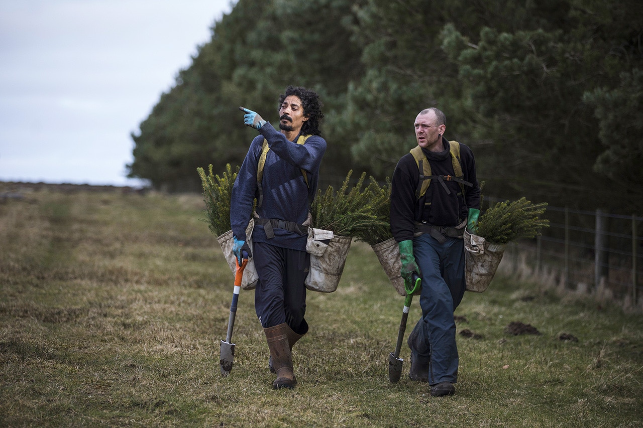 3月22日，林業人員帶着北美雲杉（Sitka Spruce）的樹苗，準備種植樹木。（Dan Kitwood／Getty Images）